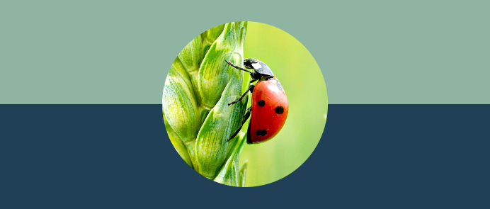 The aim of the programme is to support and strengthen the objectives of the UN Sustainable Development Goals, the European Green Deal and the climate goals of the EU.