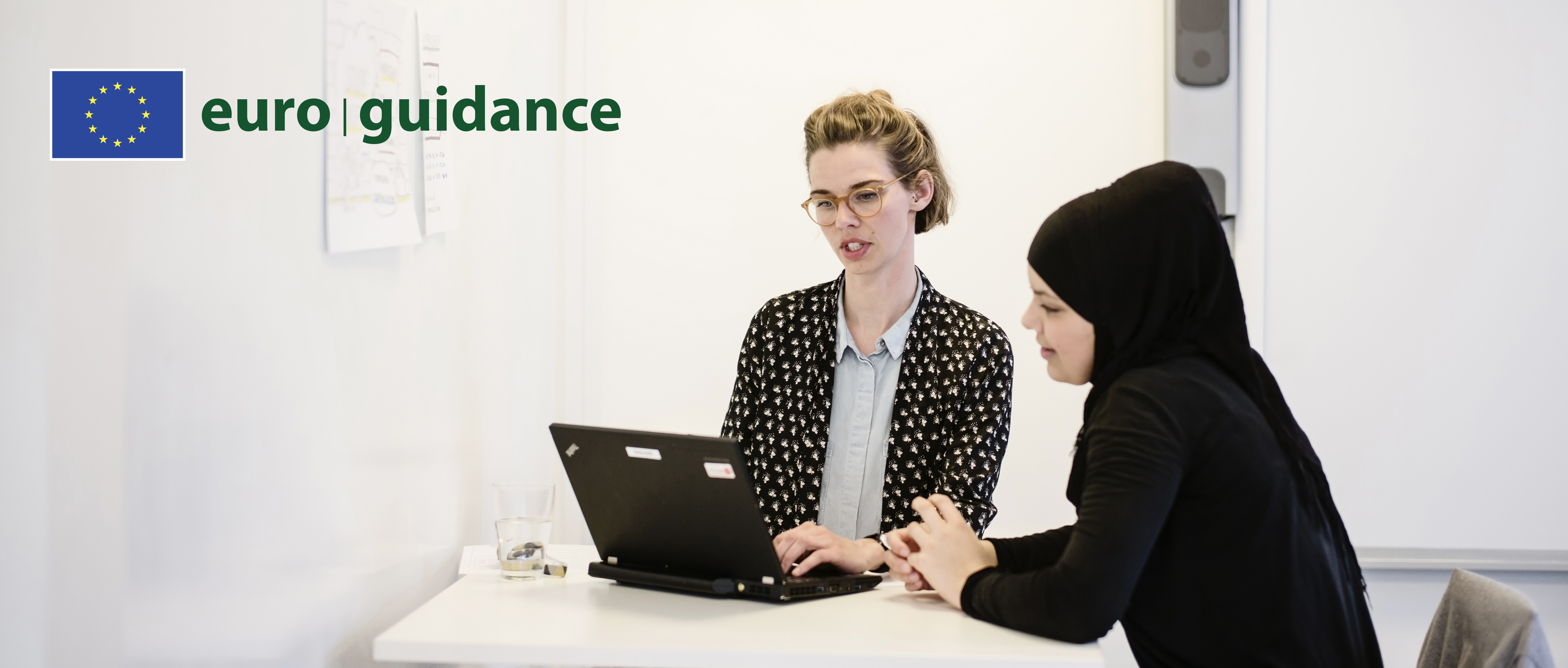 Euroguidance Vejledingssituation