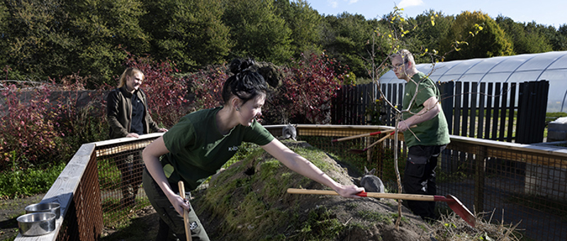 Mobilitet for elever_KoldCollege7817.jpg Mobilitet for elever_KoldCollege7817.jpg