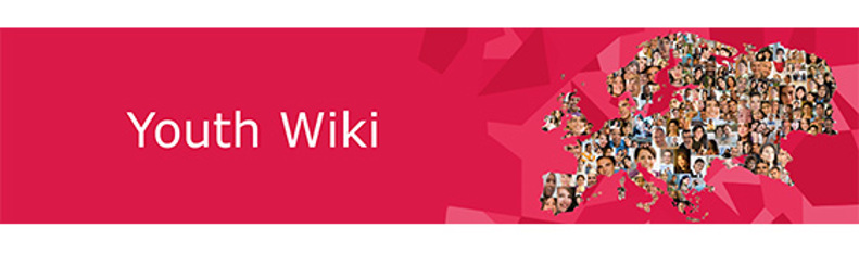 Youth Wiki_website.jpg Youth Wiki_website.jpg