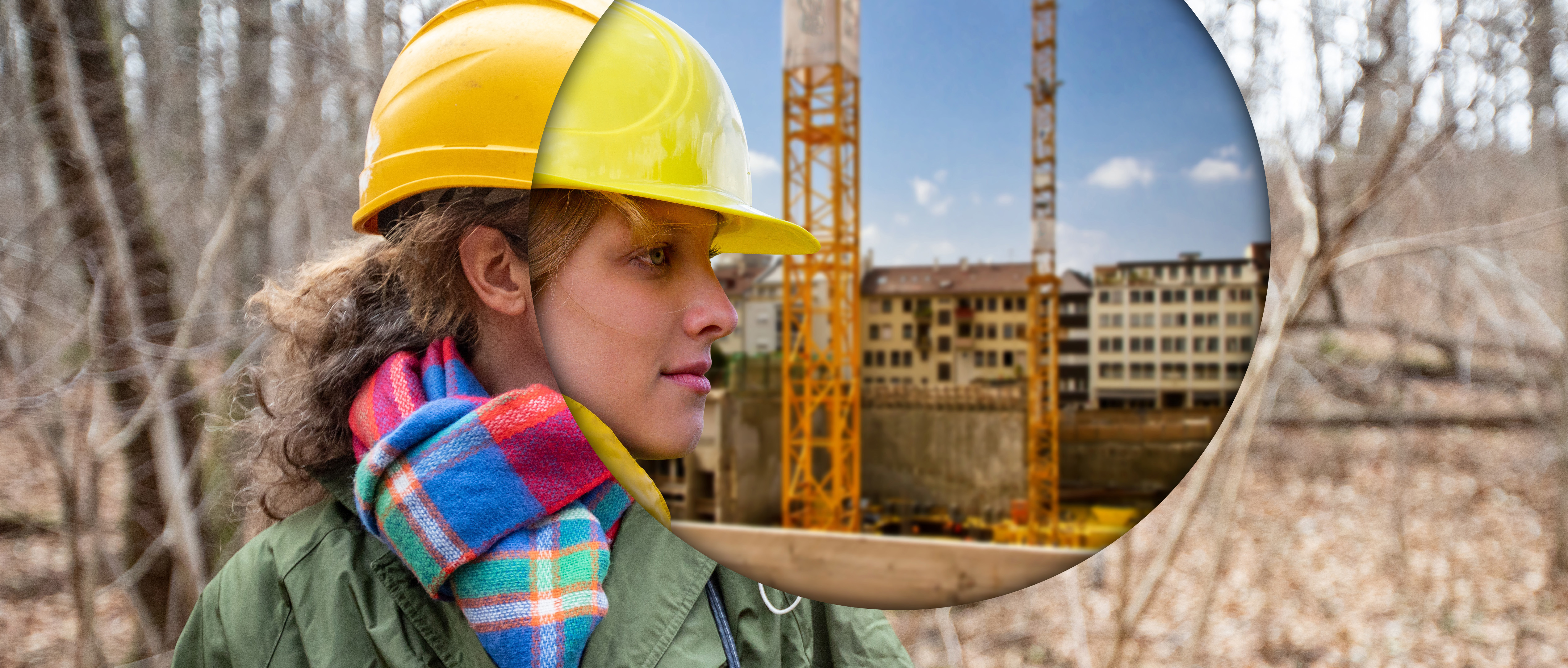 Innovationsalliancer Innovationsalliancer