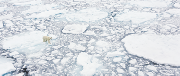 Apply for funding for international collaborative projects focused on developing solutions in climate science, sustainable energy, transport and green transition. Projects are expected to promote green growth, create jobs, and deliver sustainable outcomes for citizens, end users, and the society.