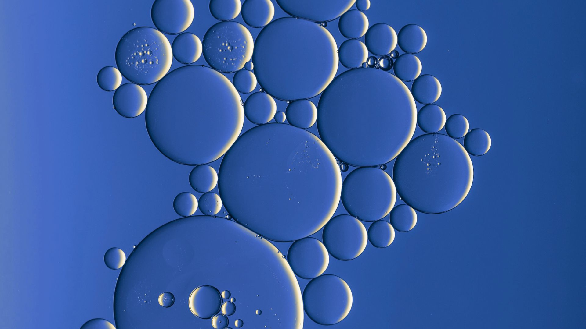 Ny rapport fra Danmarks innovationscenter i Boston udforsker, hvordan innovative hjemmebehandlingsformer både kan vise sig at være et vigtigt middel mod pressede sundhedssystemer og samtidig rumme et markant vækstpotentiale for danske sundhedsinnovatører.