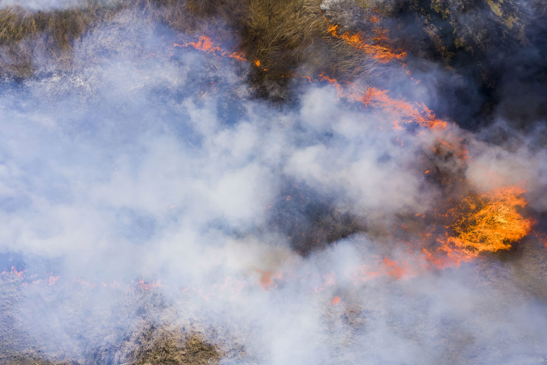 WP_Skovbrand_1920X1280_12062024.jpg WP_Skovbrand_1920X1280_12062024.jpg