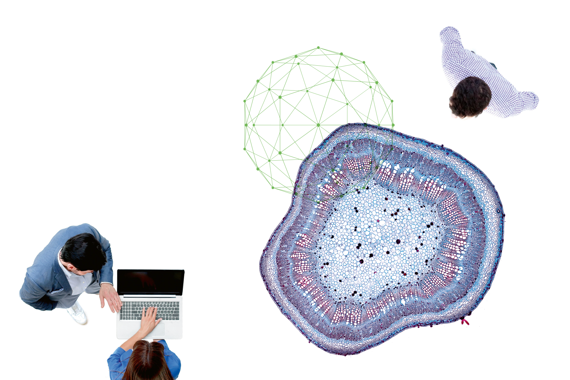 EUIndblik_22112021_1920X1280_13.png EUIndblik_22112021_1920X1280_13.png