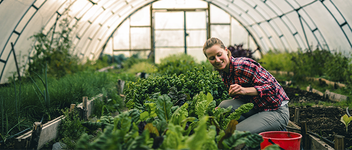 Her kan du hente inspiration og finde relevant information om Det Europæiske Solidaritetskorps.
