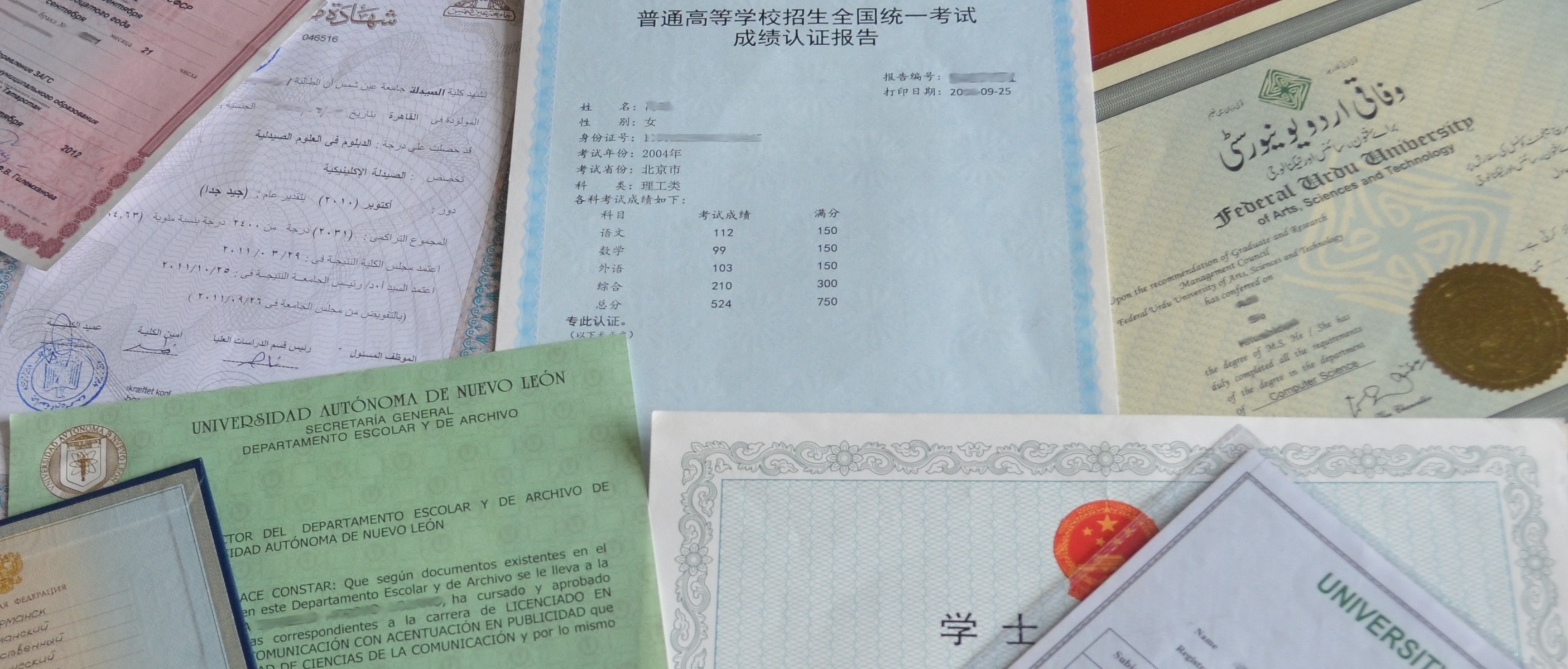 Få vurderinger og informationer om udenlandske uddannelser til brug for integration eller vejledning af borgere.