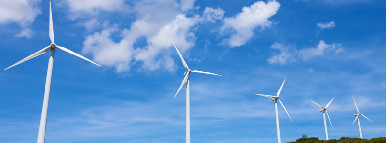 Danmarks ambitiøse klimamål kræver en omfattende og hastig grøn omstilling. En væsentlig forudsætning for, at vi når i mål med den grønne omstilling, er, at vi har uddannelser, som bidrager til, at vi har de rette kompetencer i arbejdsstyrken og i samfundet.