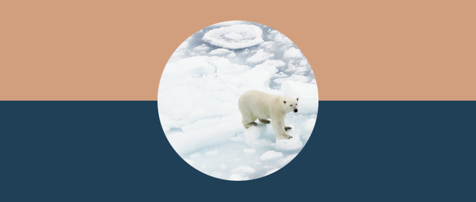 The aim of the programme is to advance interdisciplinary cooperation on climate science and solutions, renewable energy, new solutions for energy storage and smart, green transport.