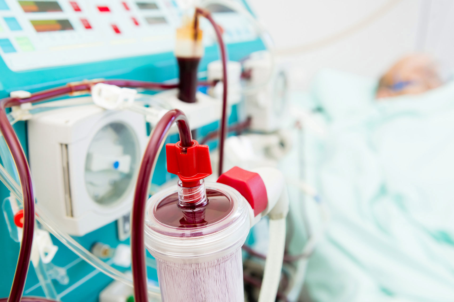 WP_Dialyse_1920X1280_12062024.jpg WP_Dialyse_1920X1280_12062024.jpg