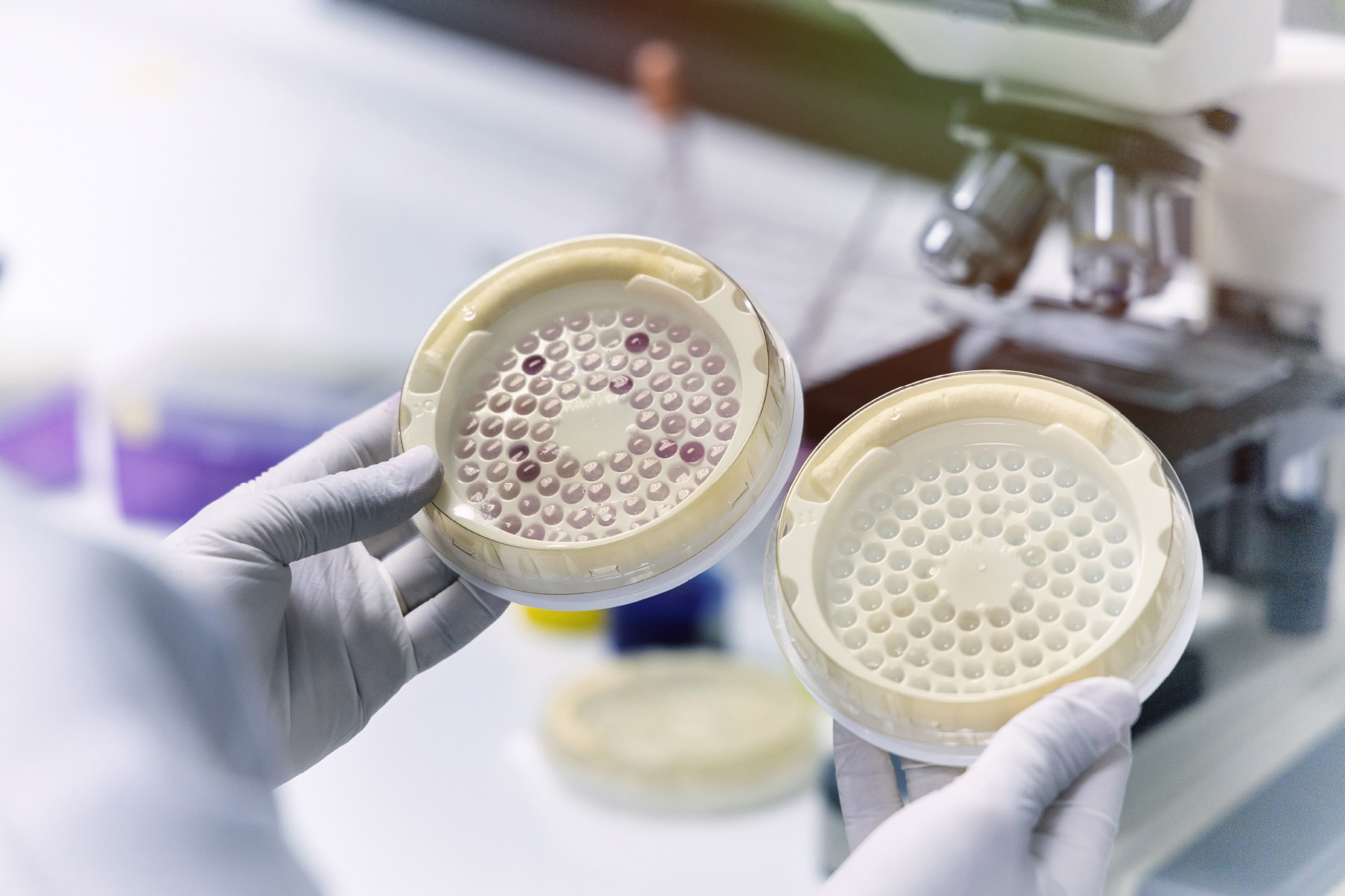 Side26_1920X1280_09112023.jpg Side26_1920X1280_09112023.jpg