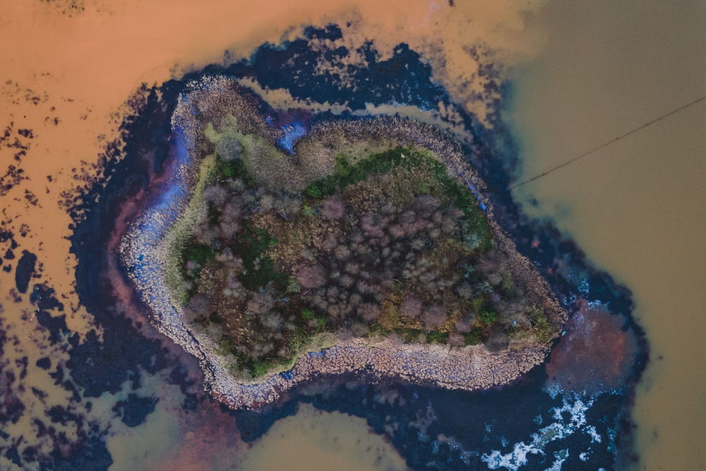 Mette Løvschall billede 2.png Mette Løvschall billede 2.png