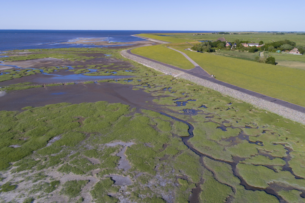 Vadehavet_1024X683_26012025.png Vadehavet_1024X683_26012025.png