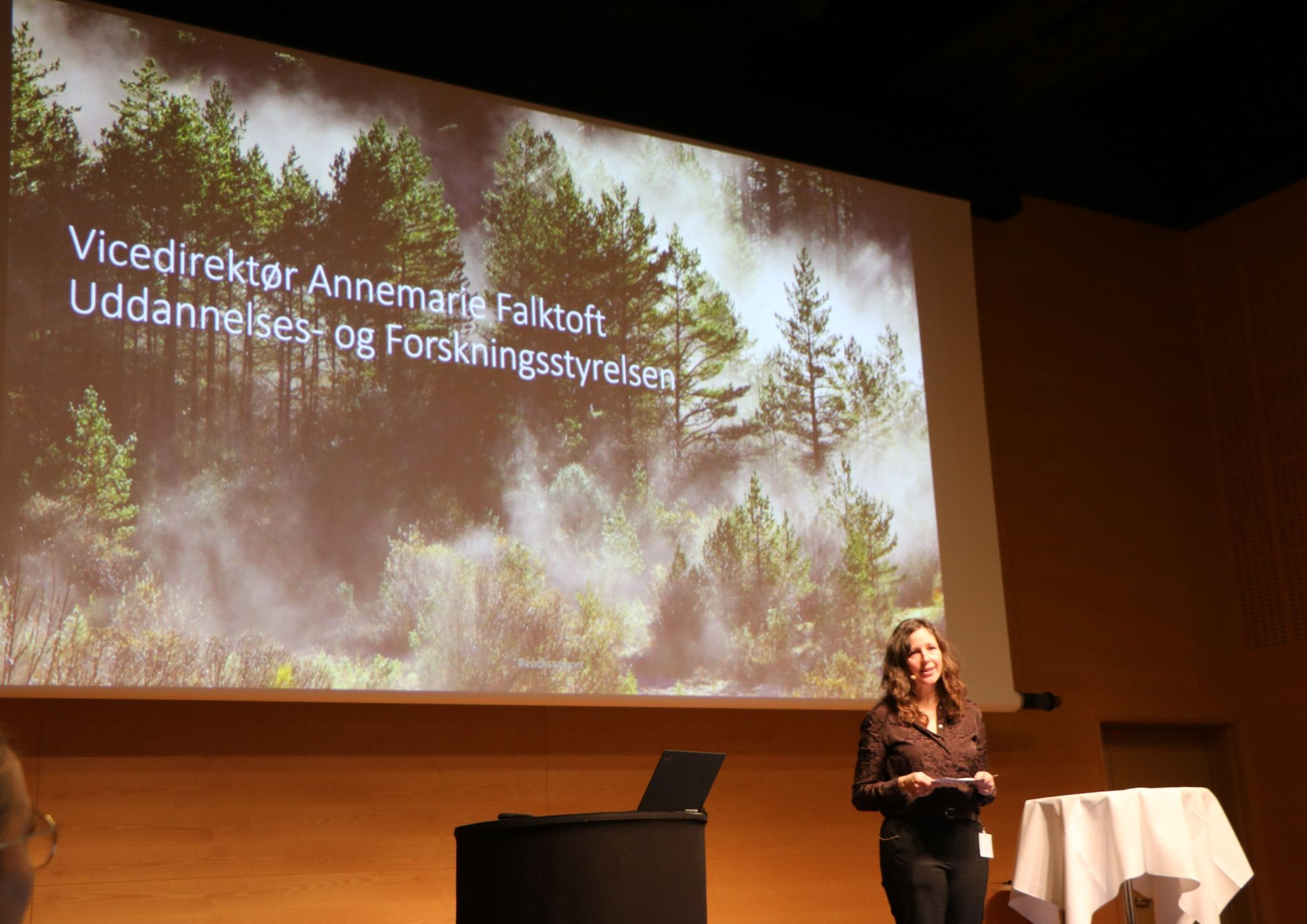 Annemarie Falktoft holder åbningstale til tiårsjubilæum for EU-DK Support-netværket Annemarie.jpeg