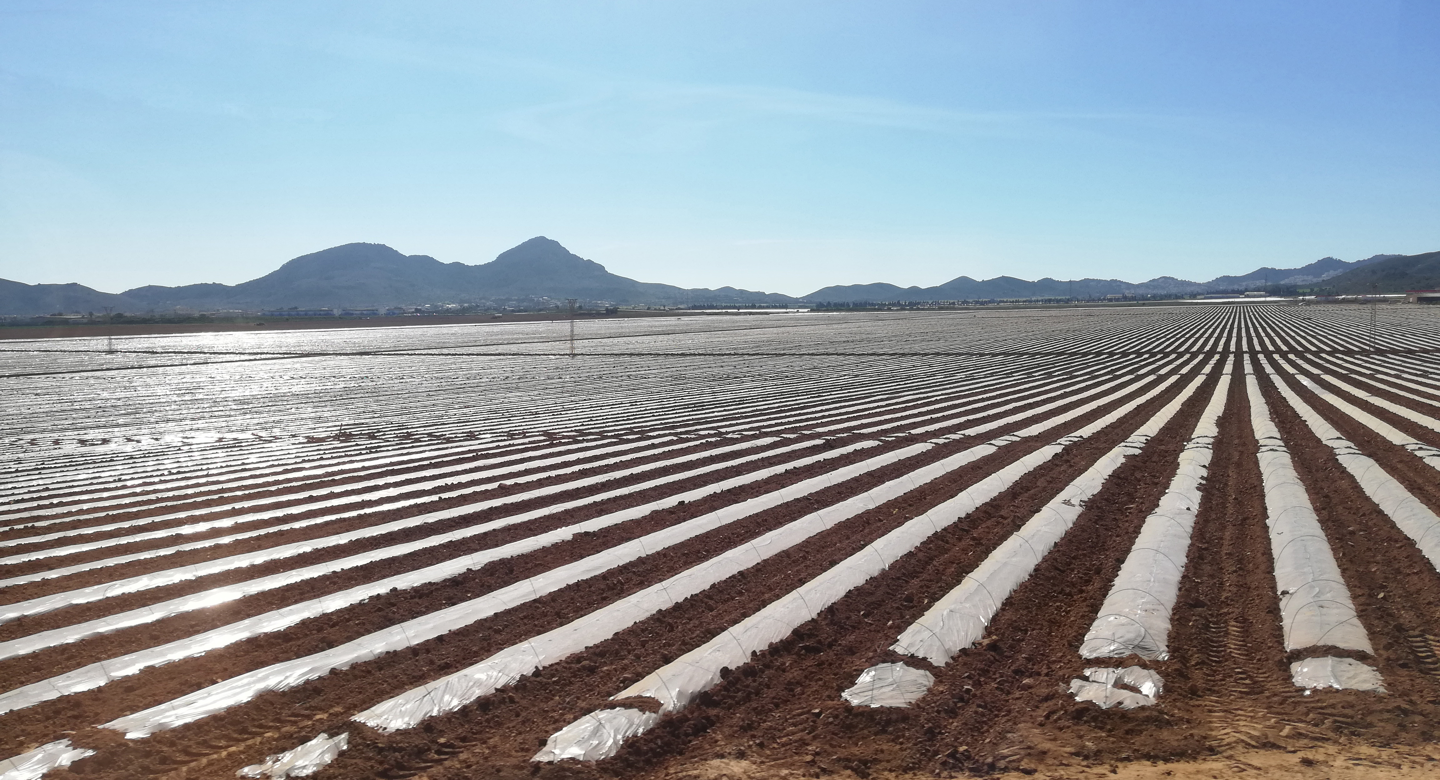 Klima i landbrugsuddannelsen