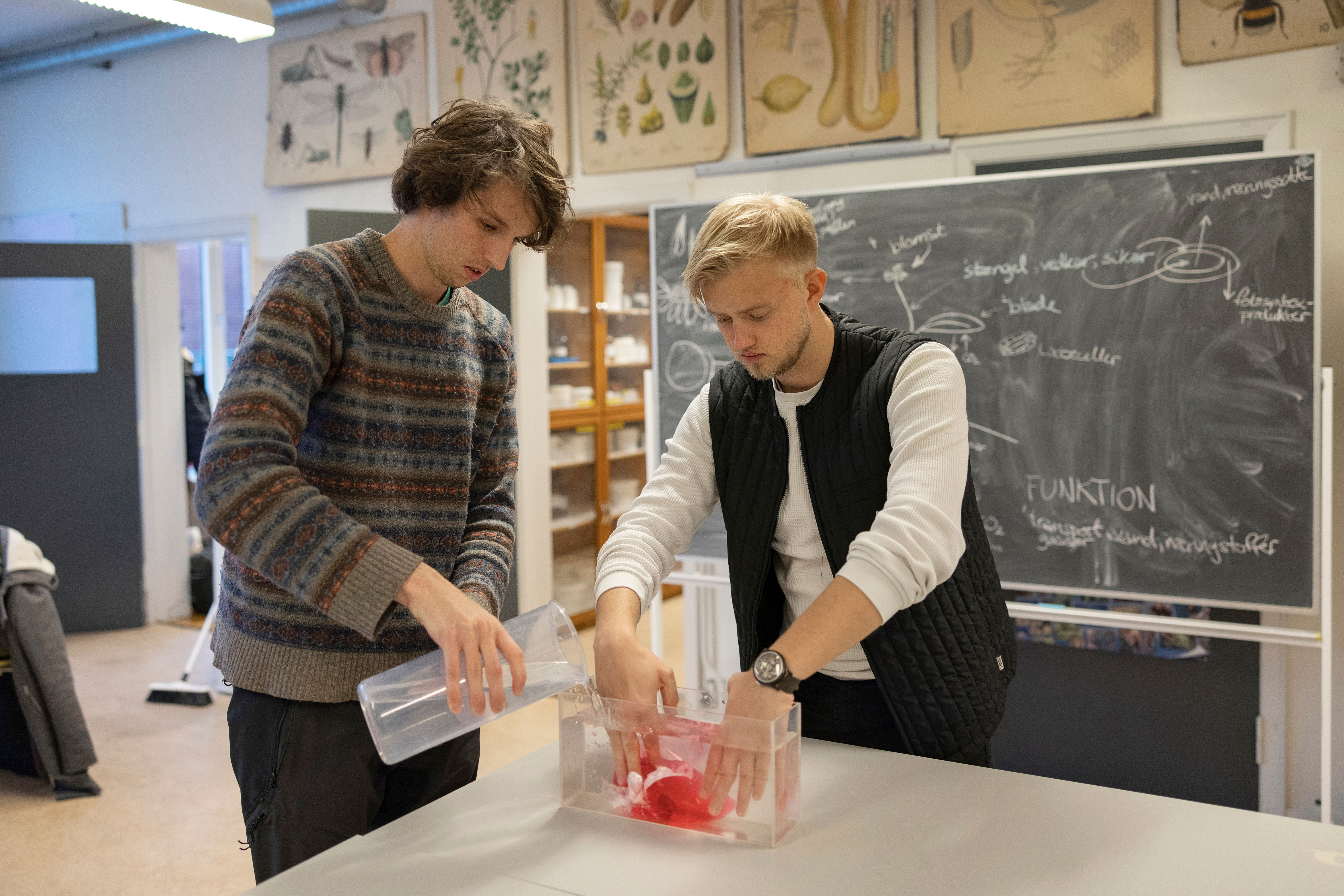 Studerende udfører forsøg