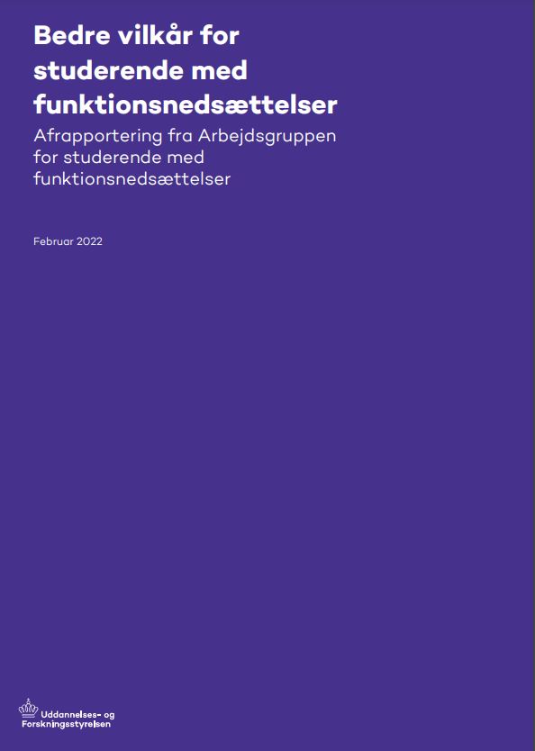 Afrapportering fra Arbejdsgruppen for studerende med funktionsnedsættelser.