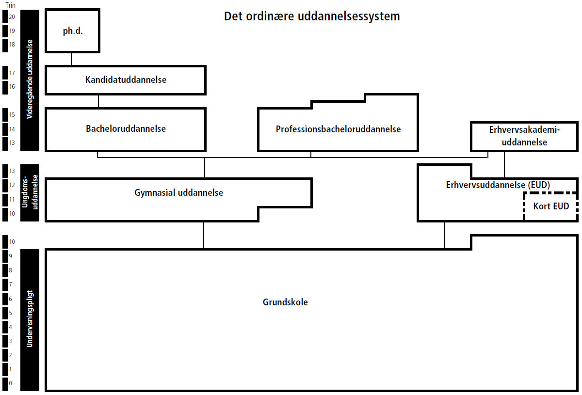 Diagram over det ordinære uddannelsessystem
